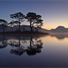 Scots pines on small island in Loch Marre reflected at dawn, Torridon, Scotland